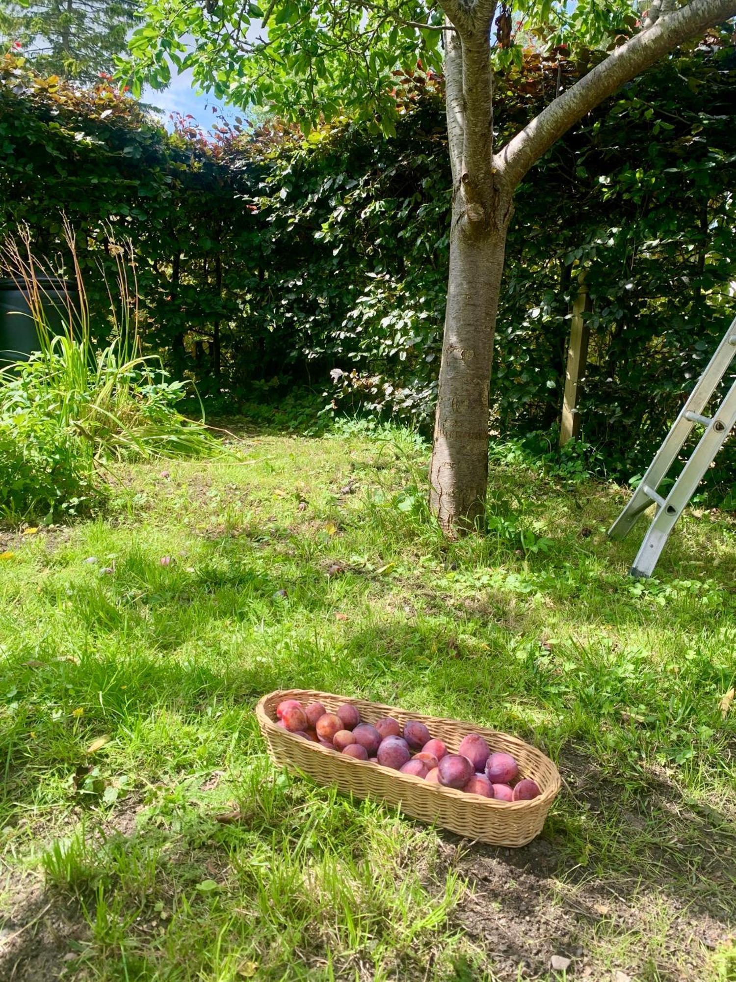 The Little Orchard Villa Watlington  Luaran gambar