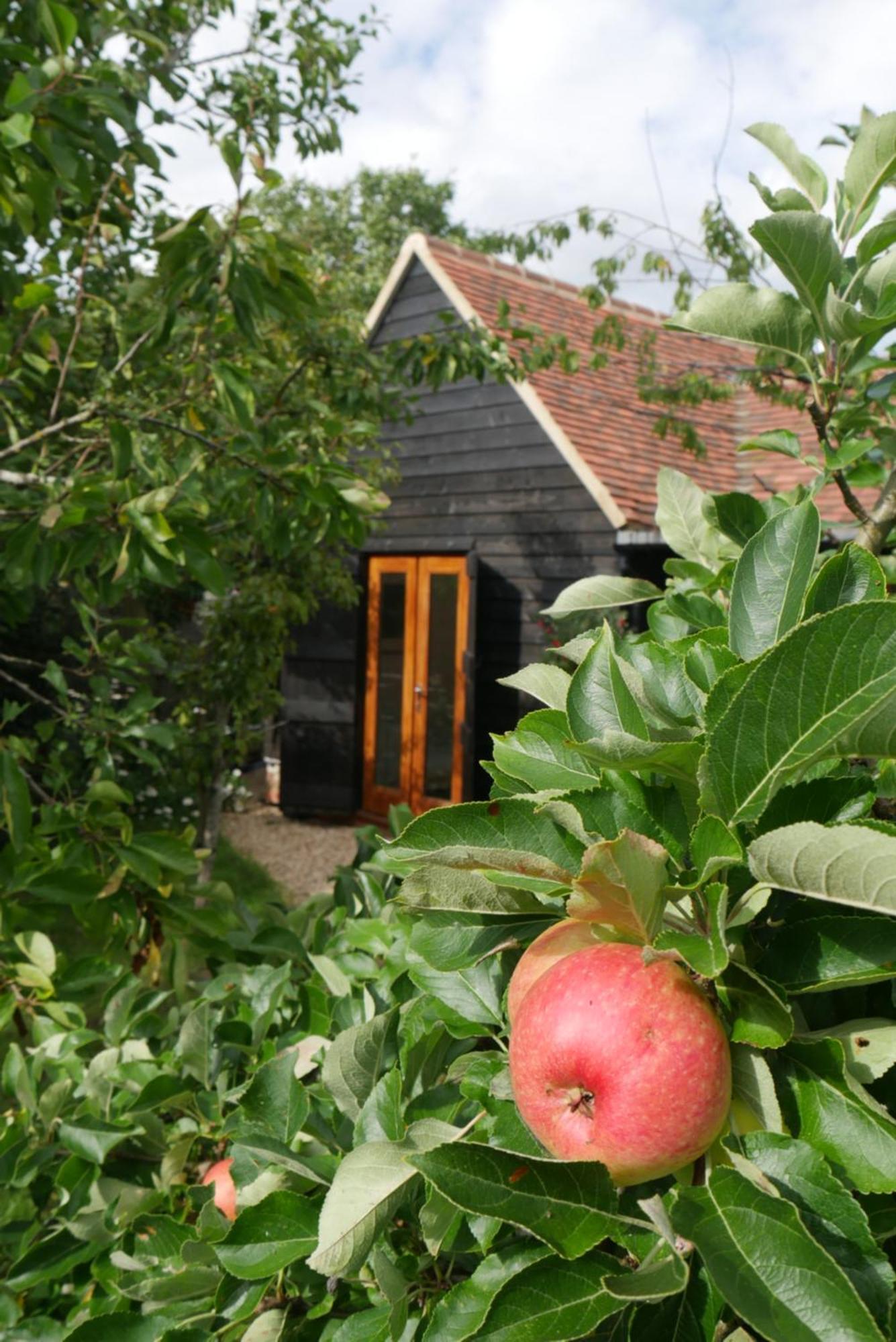The Little Orchard Villa Watlington  Luaran gambar